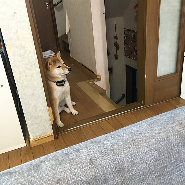 luckyさんの実例写真