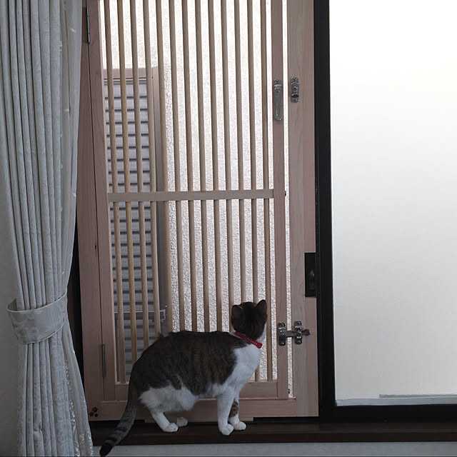 sakuraさんの実例写真