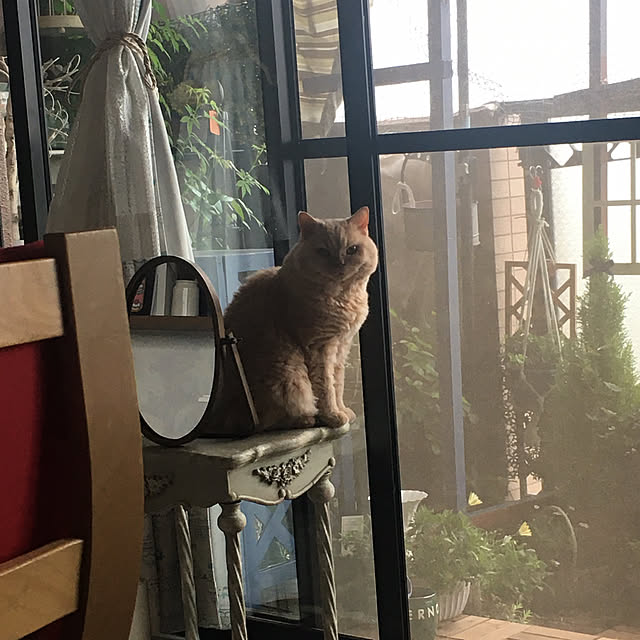 naokoさんの実例写真