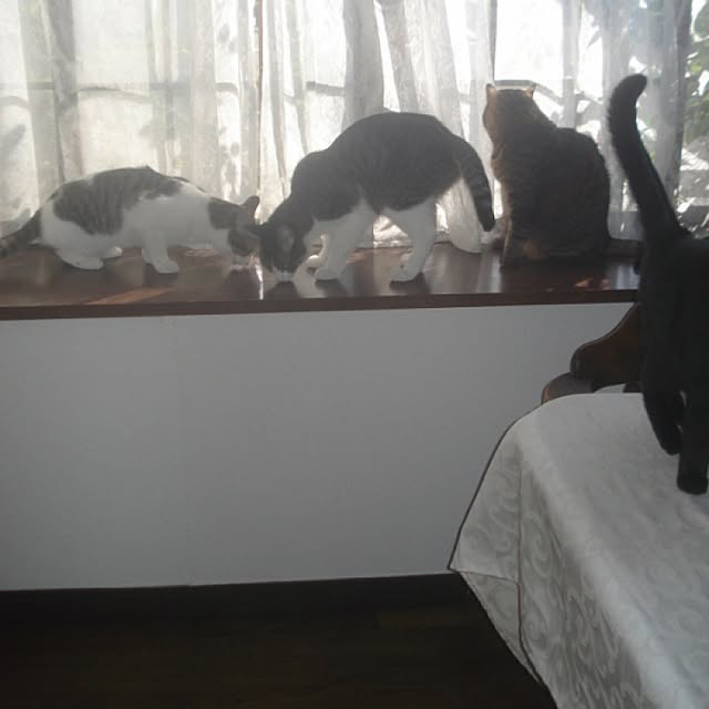 sannbonnnonamiさんの実例写真