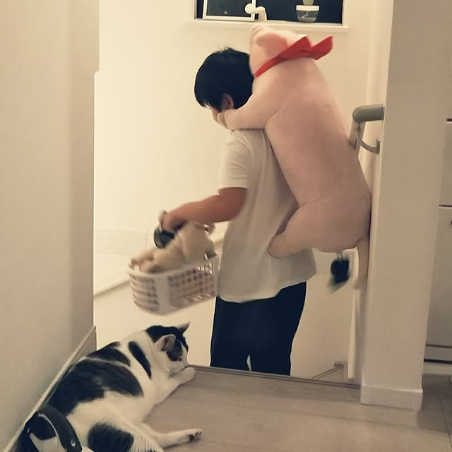 Sakasanさんの実例写真