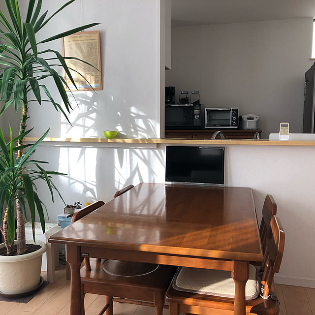 部屋全体/キッチンのインテリア実例 - 2019-01-04 20:50:27
