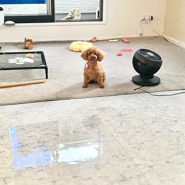 MOMOMAMAさんの実例写真