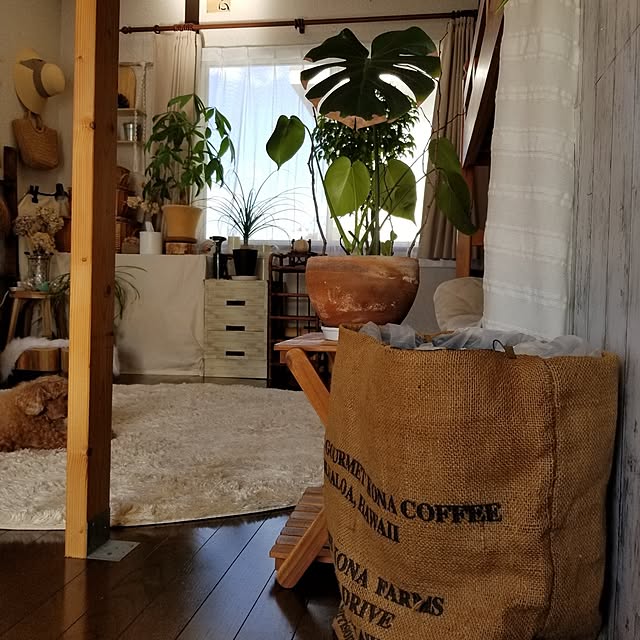 midoriさんの部屋