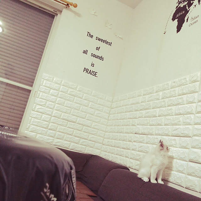 michikoさんの実例写真