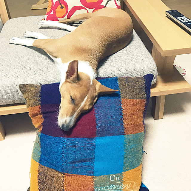 62chanwさんの実例写真