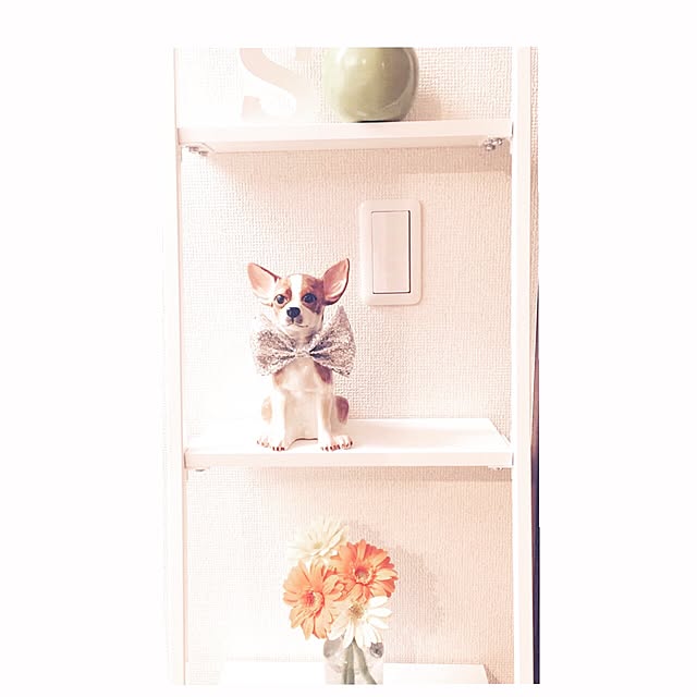 smallSさんの実例写真