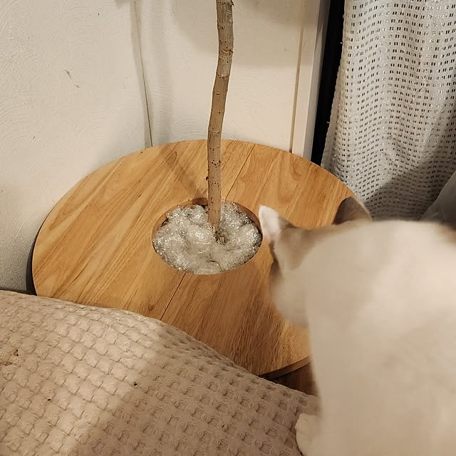 mikamaiさんの部屋