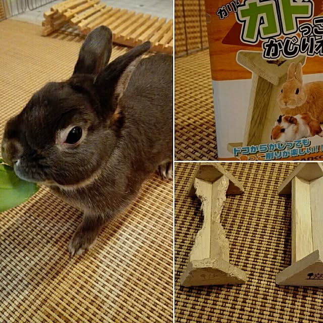 1ldksさんの実例写真