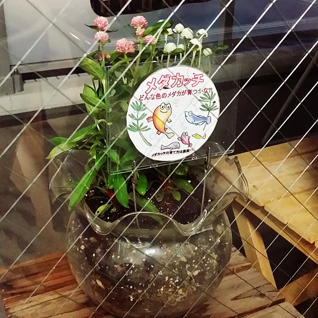 m-kinocoさんの実例写真