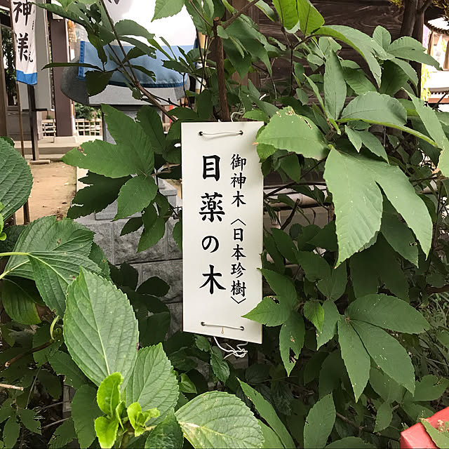 EMIKOさんの実例写真