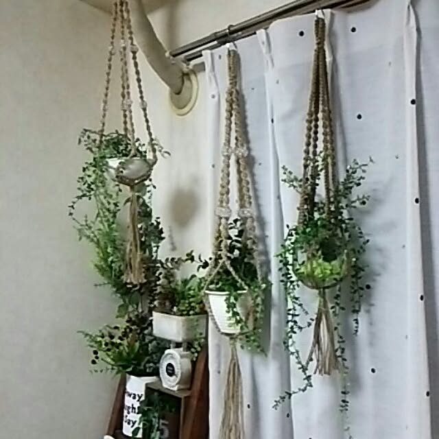 DS250さんの実例写真