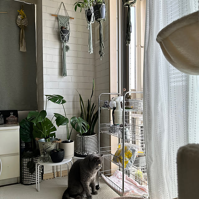 kittyさんの部屋