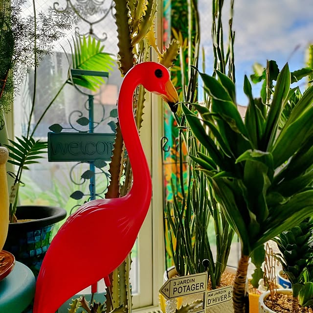 nacchanさんの部屋