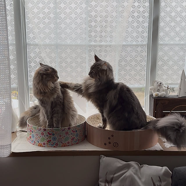 mayumiさんの部屋