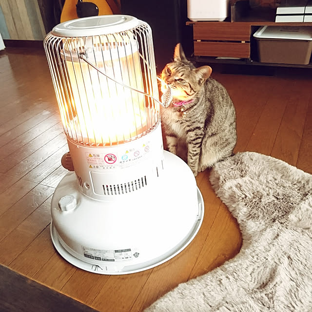 meguさんの実例写真