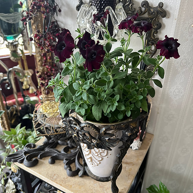 AYUKOさんの部屋