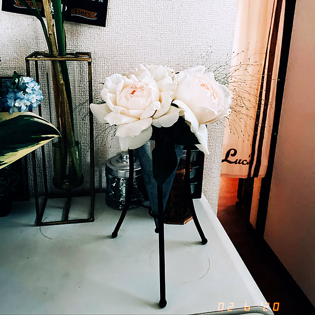 eregonさんの実例写真