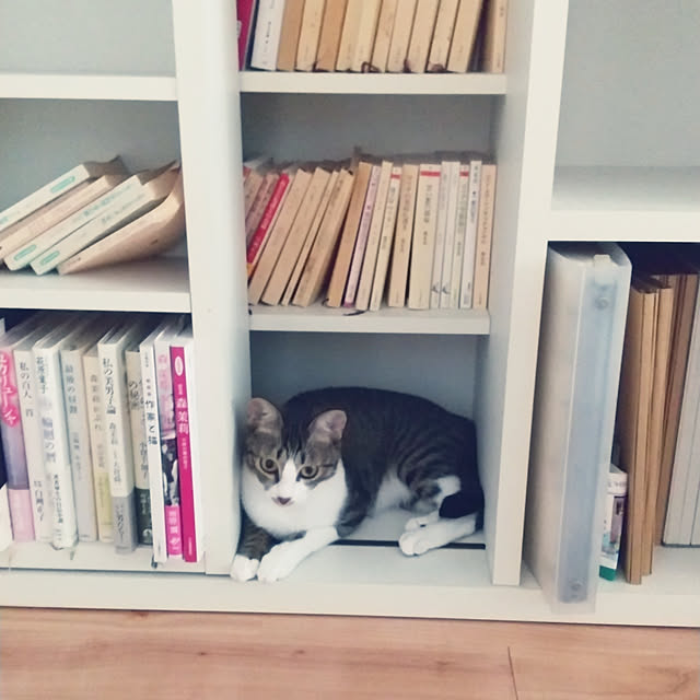 hanacocoさんの実例写真