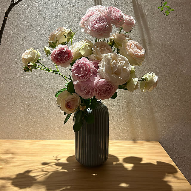 charo_homeさんの部屋