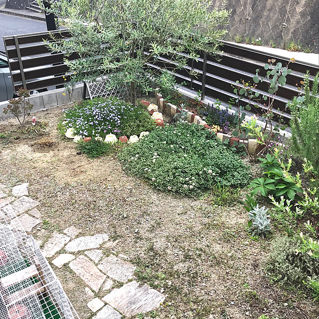 ayayayayaさんの実例写真