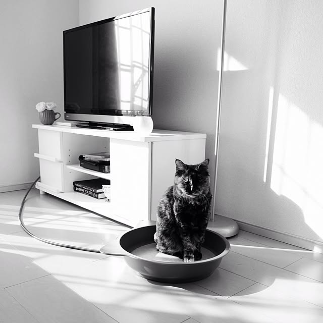 Kumaさんの実例写真