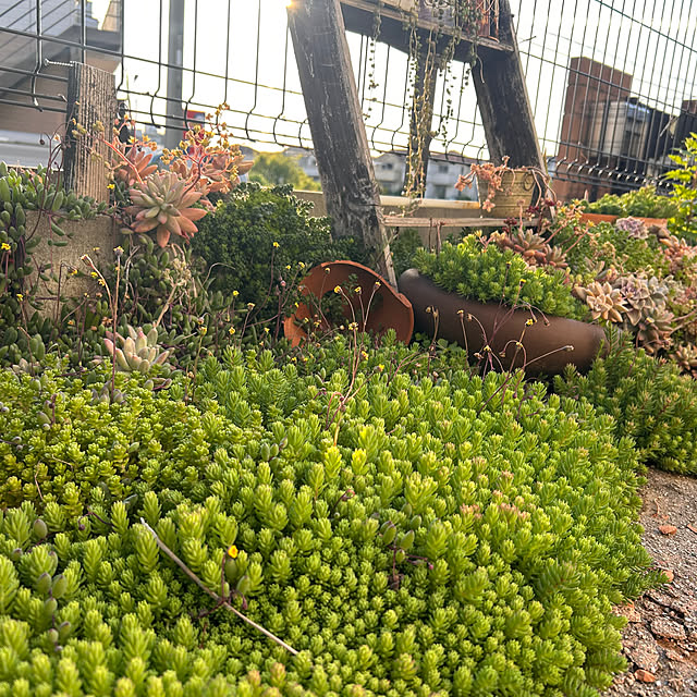 canmilmamaさんの部屋