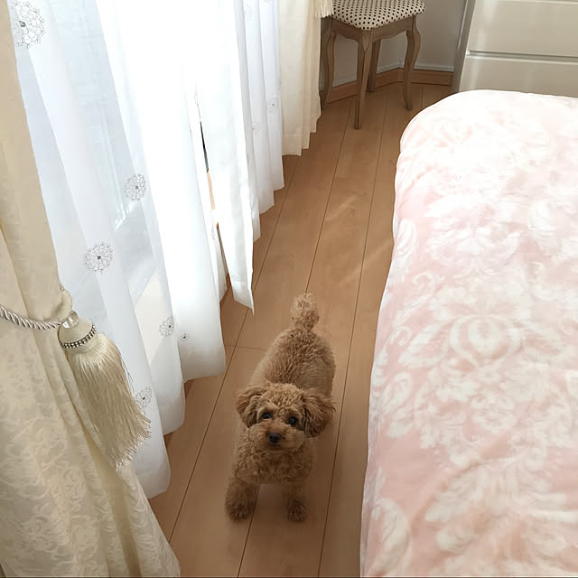 Mikaさんの実例写真