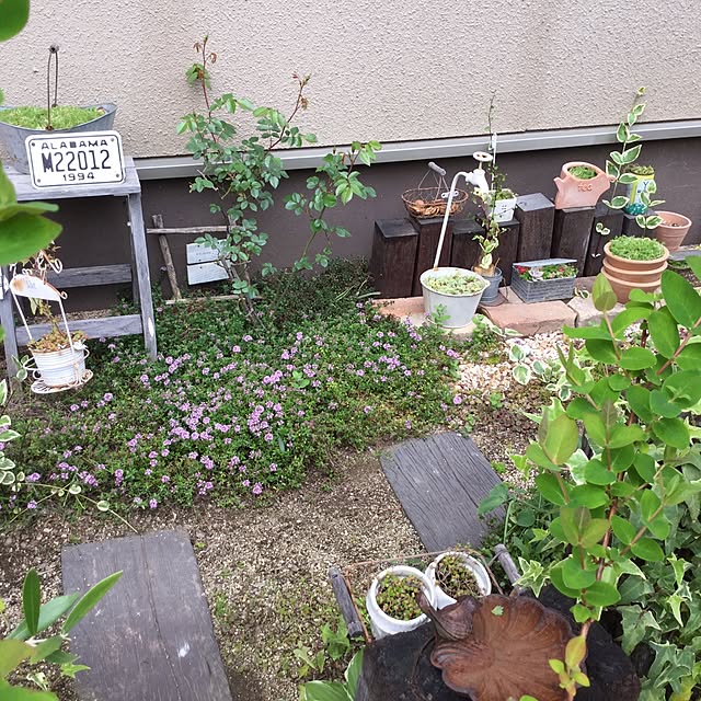 mippoko345さんの実例写真
