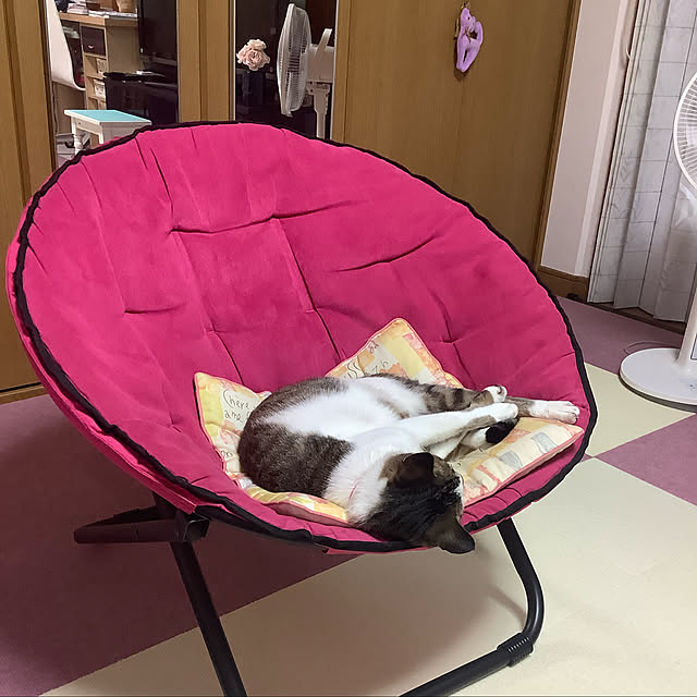 haruminさんの実例写真
