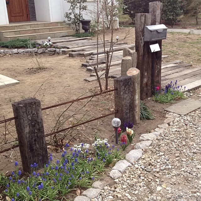 Q-Mさんの実例写真