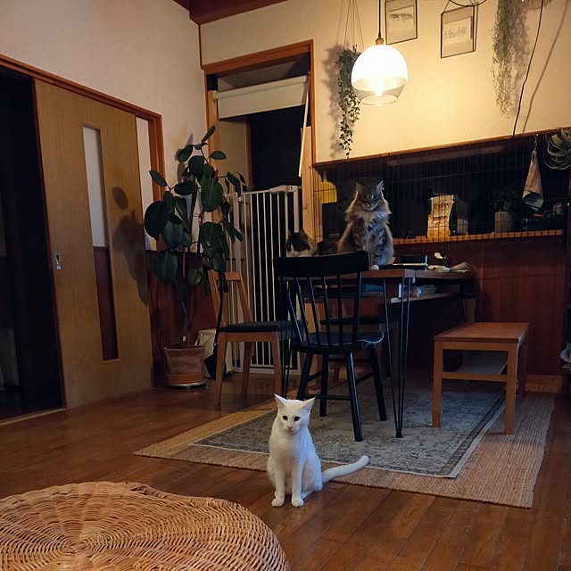 aya_meさんの実例写真