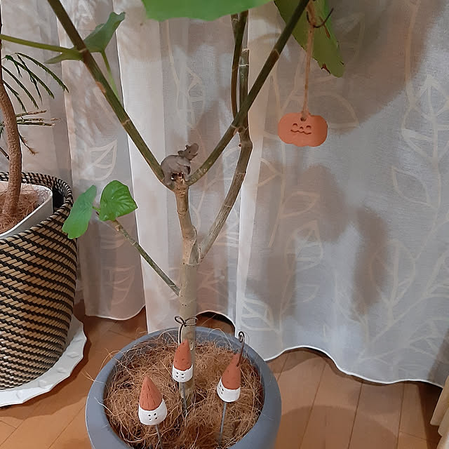 hacchiさんの実例写真