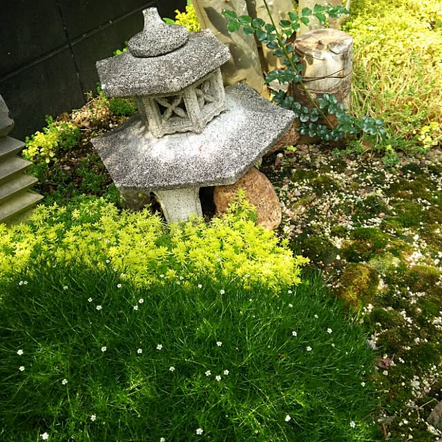 coronさんの実例写真