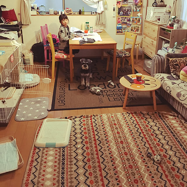 Mikaさんの実例写真
