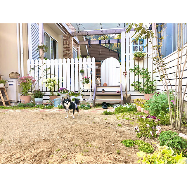 ponさんの実例写真