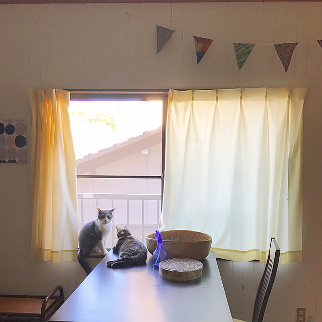 hacchiさんの実例写真