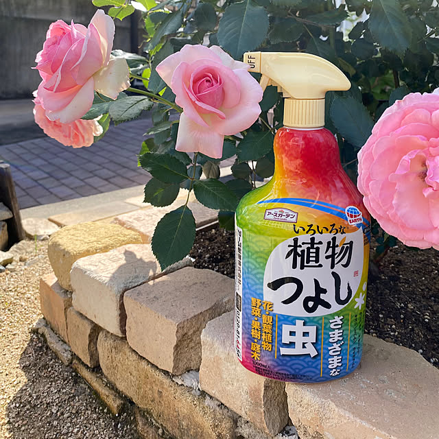 yuri.sさんの実例写真