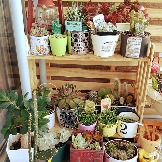 izmさんの実例写真