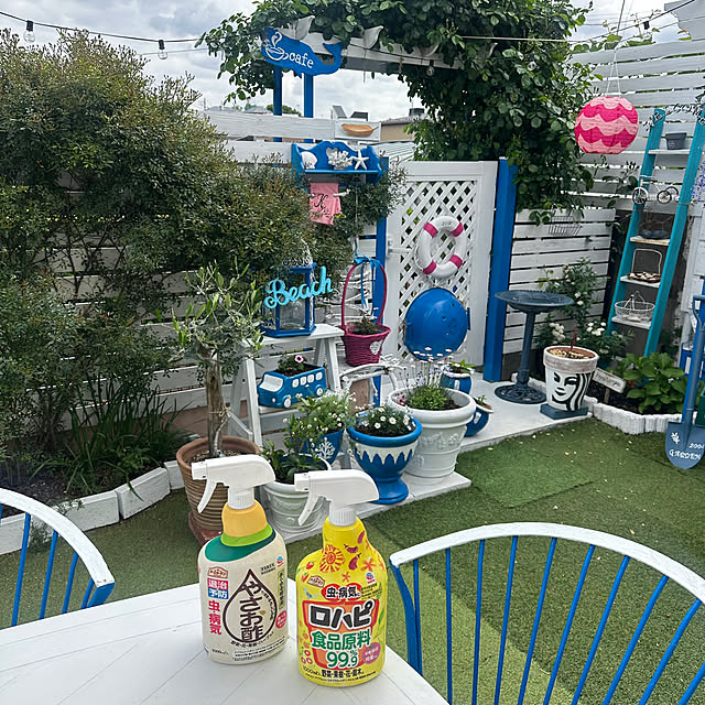 Megumiさんの実例写真