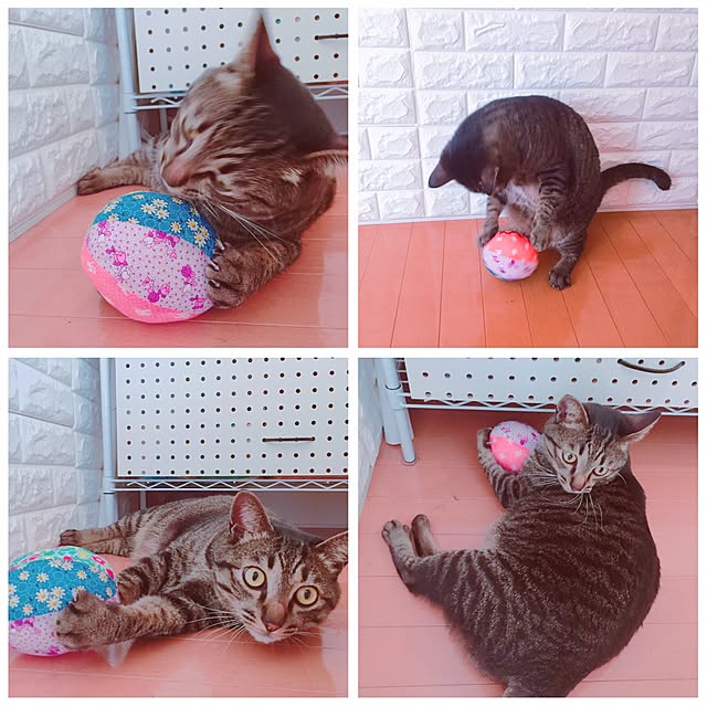 nyan.73さんの実例写真