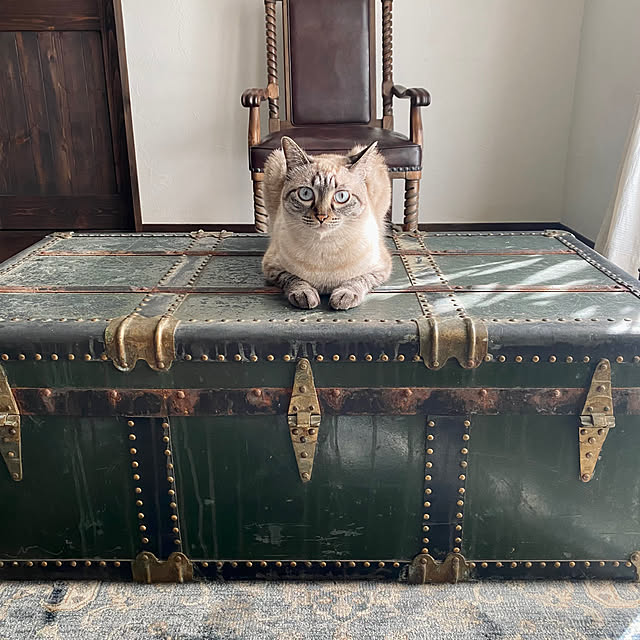 capelさんの実例写真