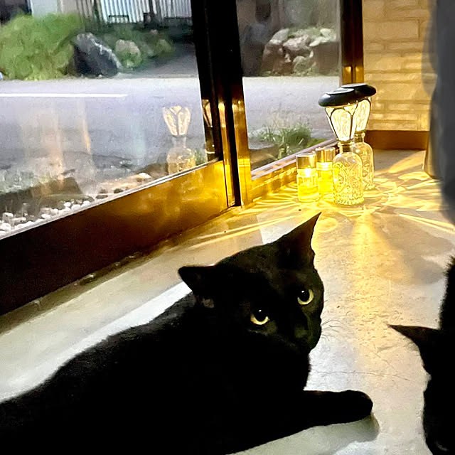 midoさんの実例写真