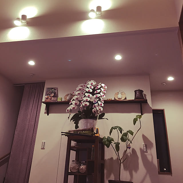 Kazukoさんの実例写真