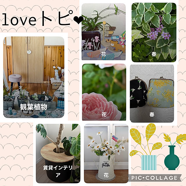 実例写真