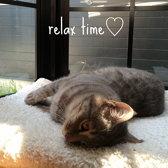 RikoRikoさんの実例写真
