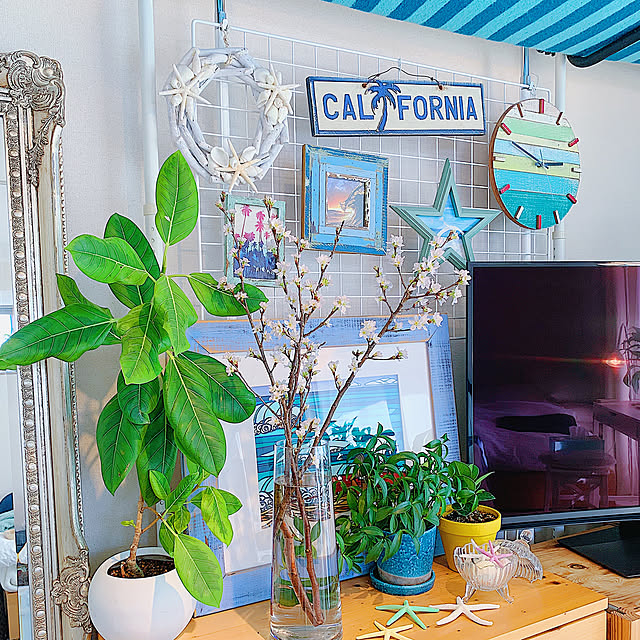 California0809さんの実例写真