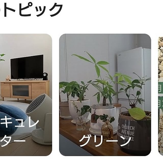 tan5さんの実例写真