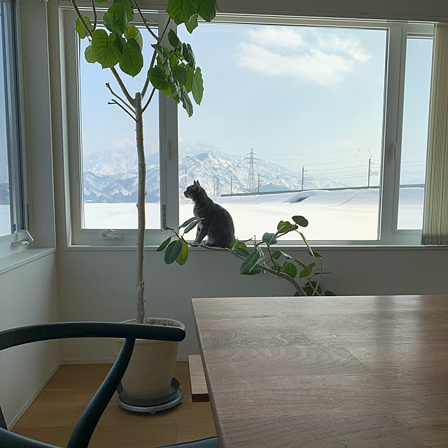 cocokuro0124さんの実例写真