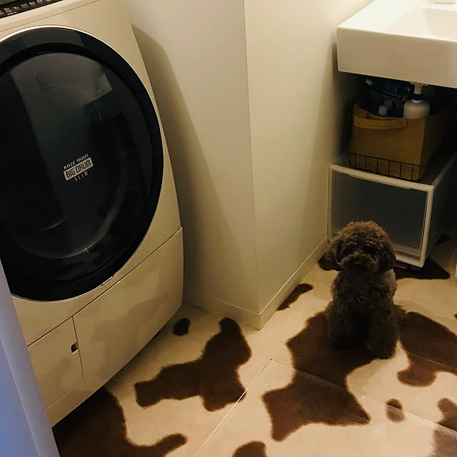 Luckyさんの実例写真
